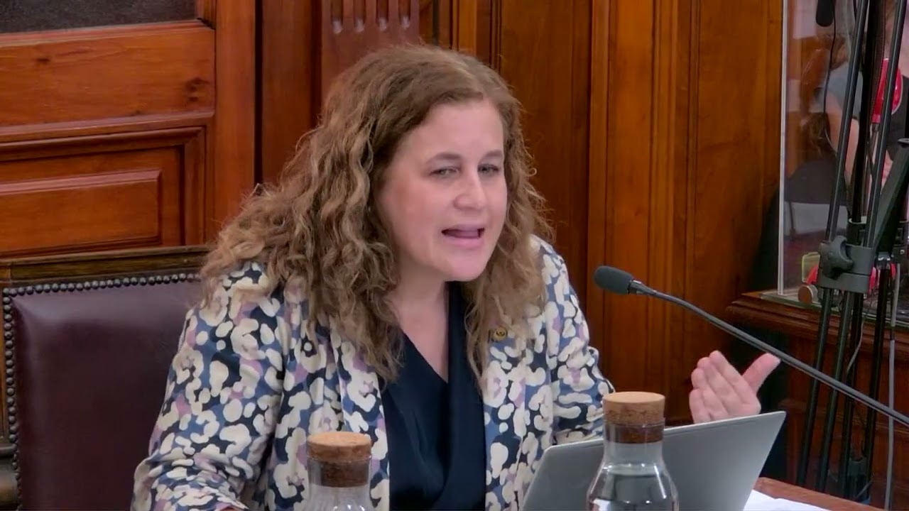 Corte de Apelaciones de Santiago revisa querella de cap&iacute;tulos de la exministra &Aacute;ngela Vivanco