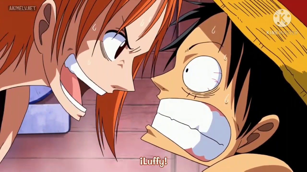 A donde vamos a parar ~❤️luffy x nami❤️