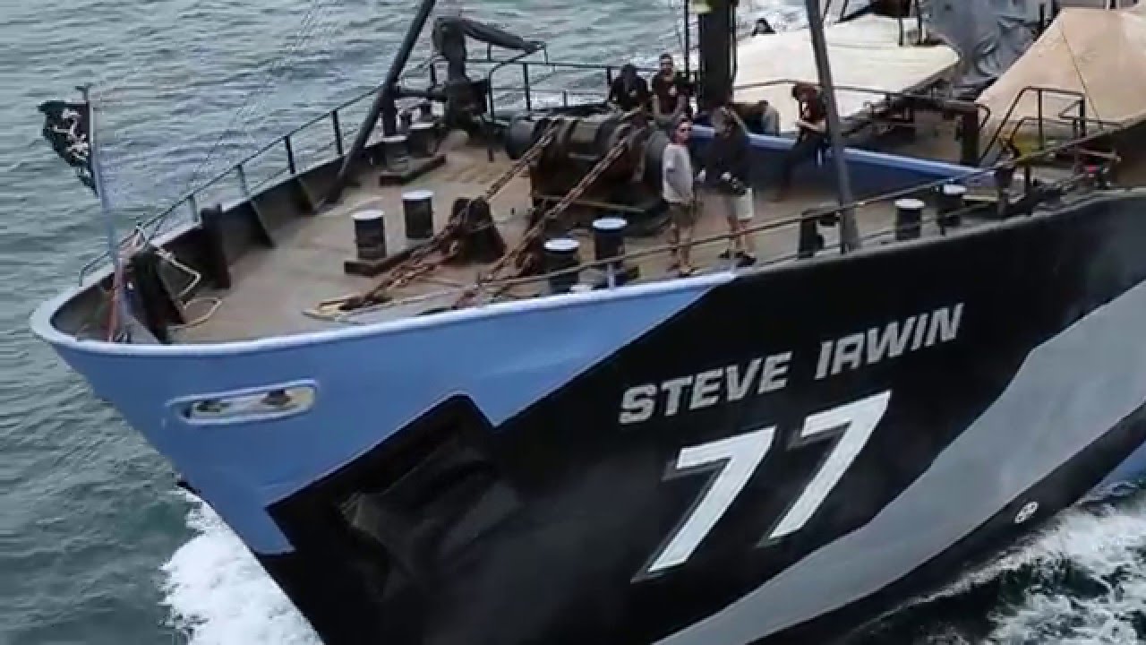Steve Irwin Depature to Antarctica 2016