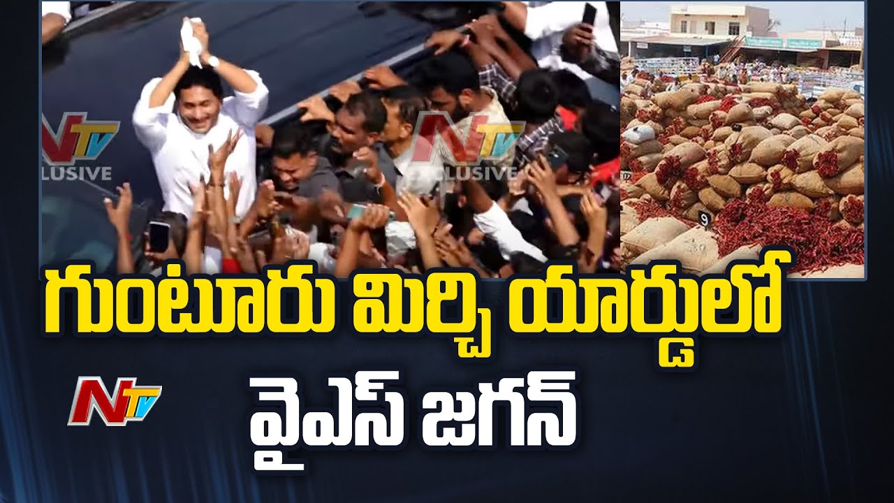 గుంటూరు మిర్చి యార్డ్⁪లో జగన్ | YS Jagan in Guntur Mirchi Yard | Ntv