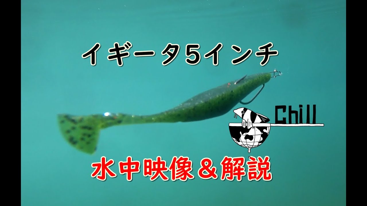 【Chilloutfishing】イギータ水中映像＆解説動画