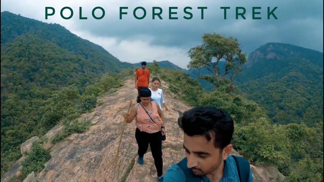 Polo Forest Trek