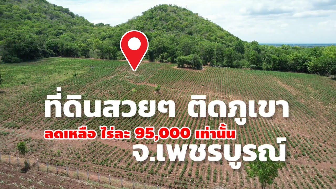 มาดามโอ๋ | ไร่ละ95,000 ขายที่ดินเนินเขา ถนนคอนกรีตน้ำไฟ จ.เพชรบูรณ์ ติดภูเขาวิวสวยมาก ลดราคาพิเศษ