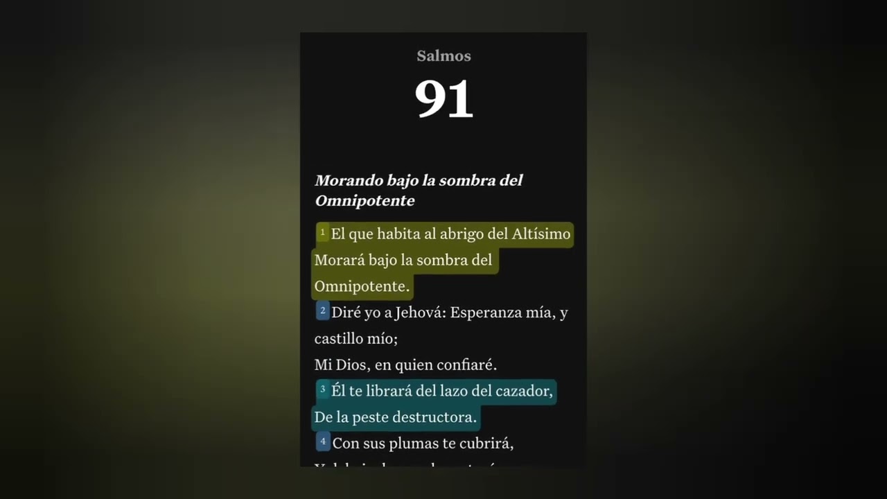 Salmo 91 de Protección  #proteccióndivina #dios #todopoderoso #viral #viralvideo #oracion #todos 
