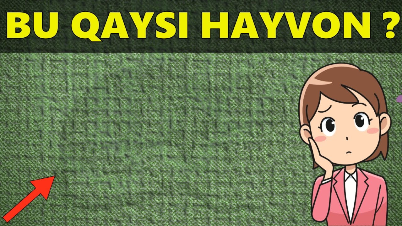 BU QAYSI HAYVON? Ko&rsquo;zingiz qanchalik o&rsquo;tkir? Mantiqiy savollar javobi bilan 2022 || Rasm chizish