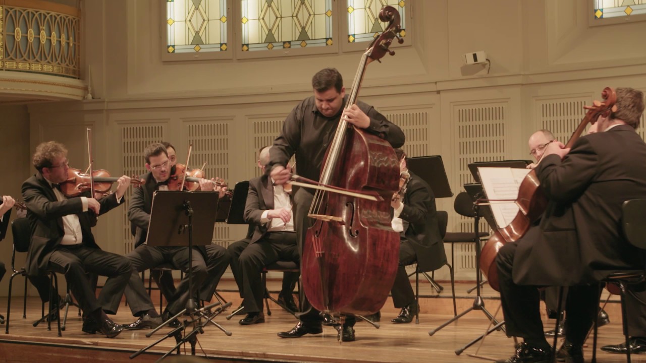 Ödön Racz: Dittersdorf Concerto in E major for Double bass II. Adagio Double Bass