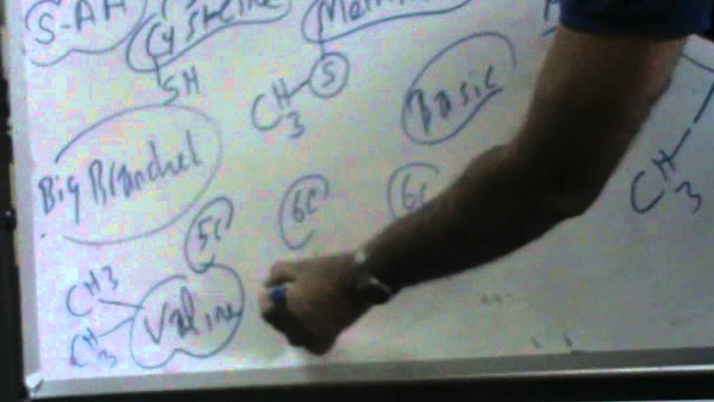 Biochemistry : Dr Ayman Beshier: Amino Acid Chemistry (1st Part)
