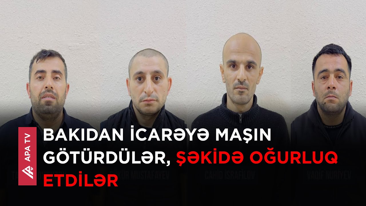 Şəkidə mal-qara oğruları saxlanıldı - APA TV