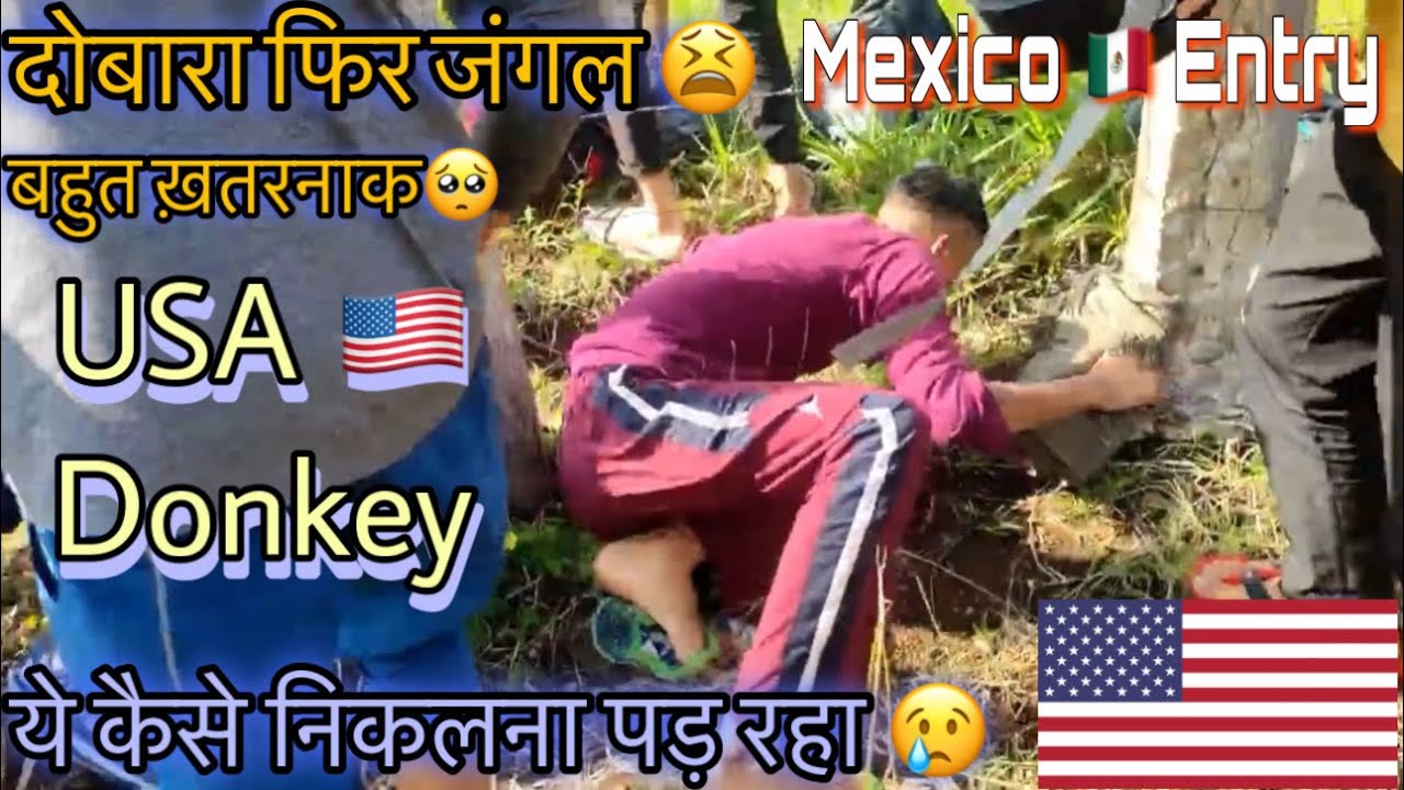 USA 🇺🇸 Donkey | Mexico 🇲🇽 Entry|Guatemala 🇬🇹 To Mexico 🇲🇽 | दोबारा फिर जंगल 😢में आ गये