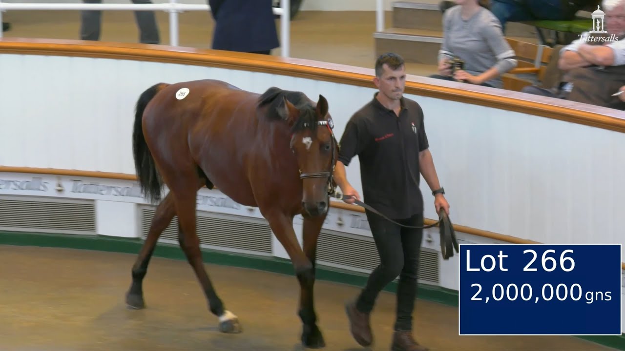 2,000,000gns Frankel Colt: Highest Priced Yearling in Europe in 2023