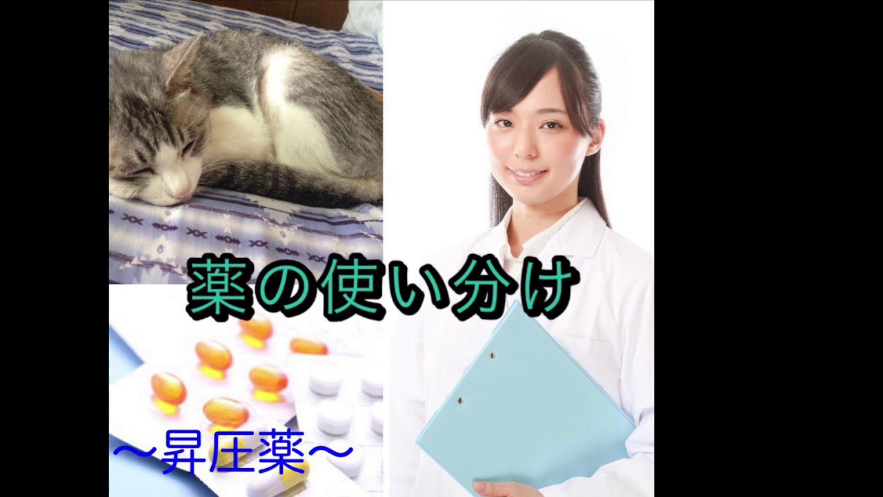 耳で覚える薬の使い分け〜昇圧薬〜【薬剤師・勉強】