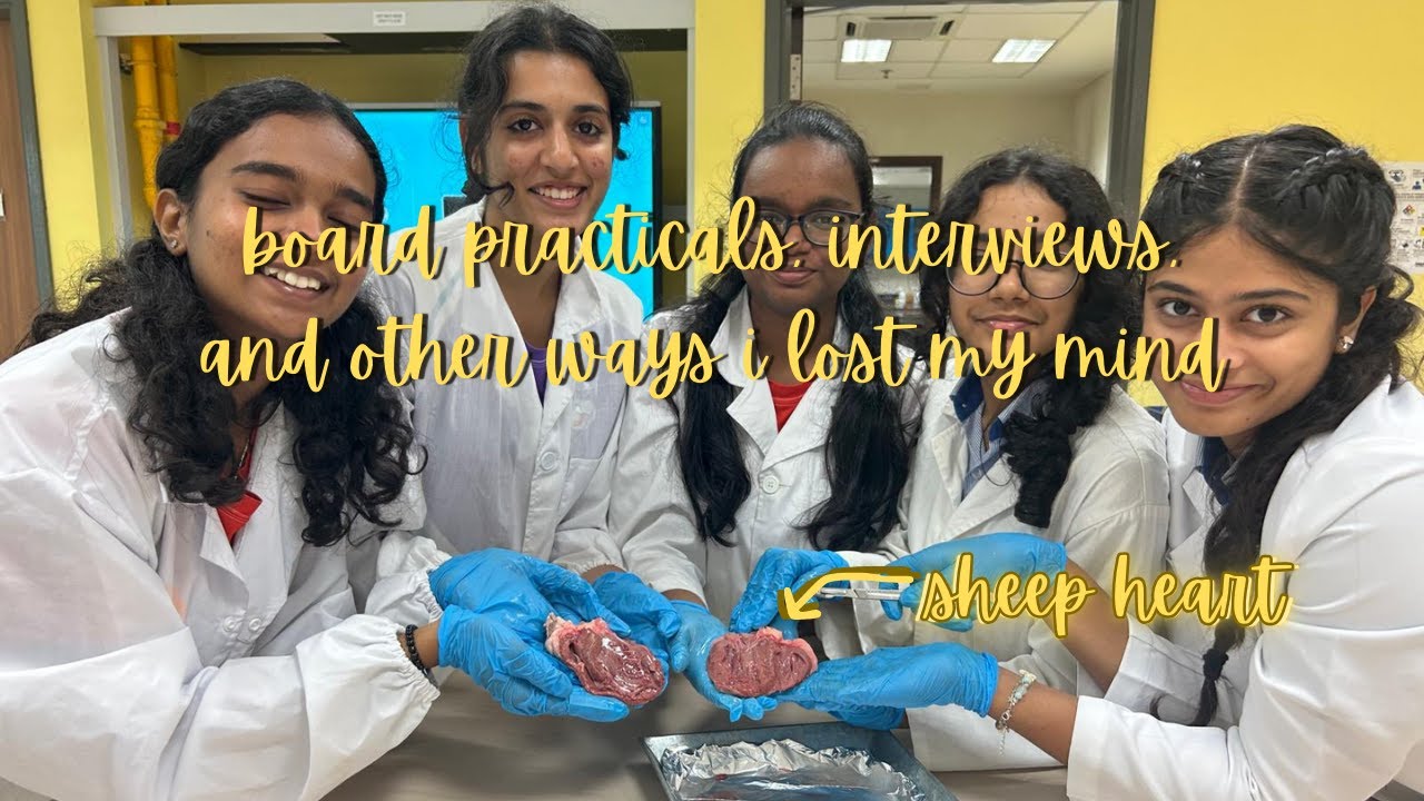 board practicals, interviews, and other ways i lost my mind