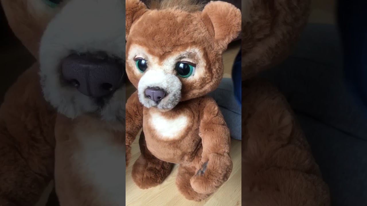 L’ours curieux Cubby Hasbro Maxi Toys