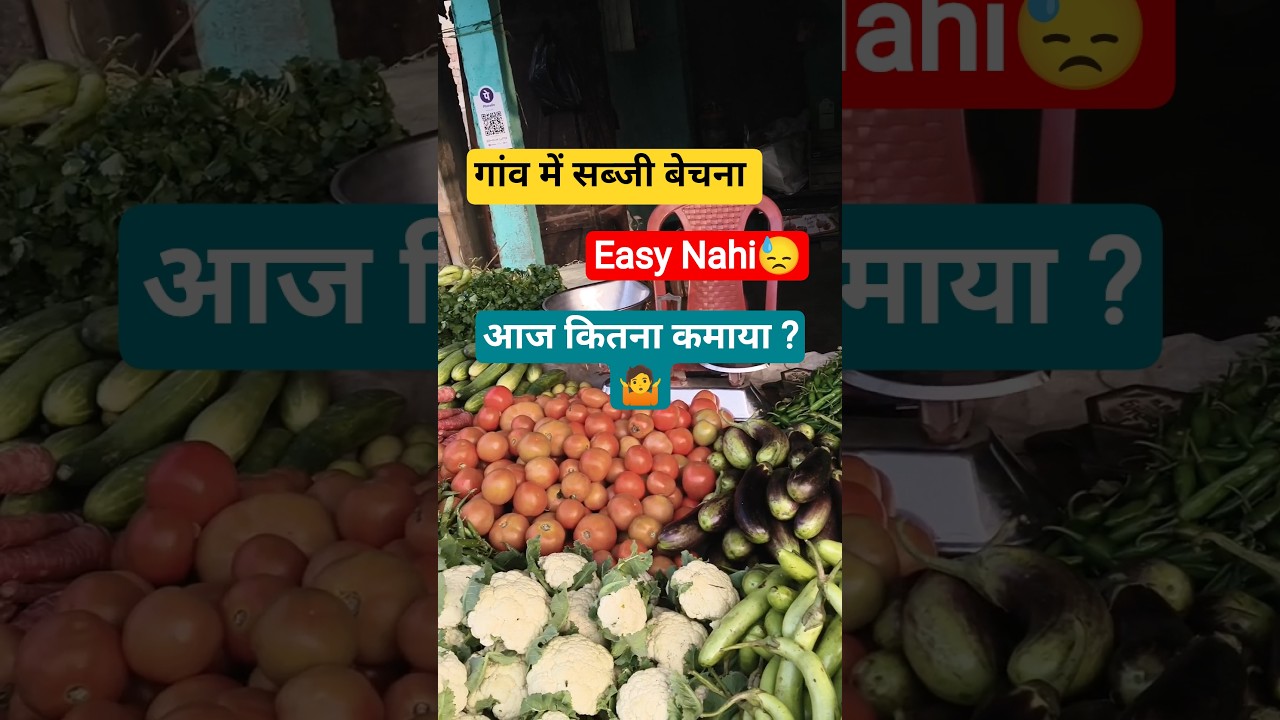 गांव की सब्जी का सच | आज कितना प्रॉफिट हुआ? 💰 | Real village earning 