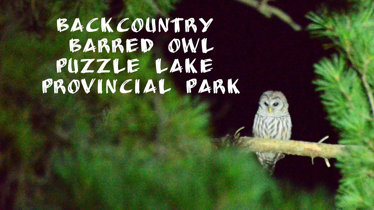 Puzzle Lake Provincial Park Camping