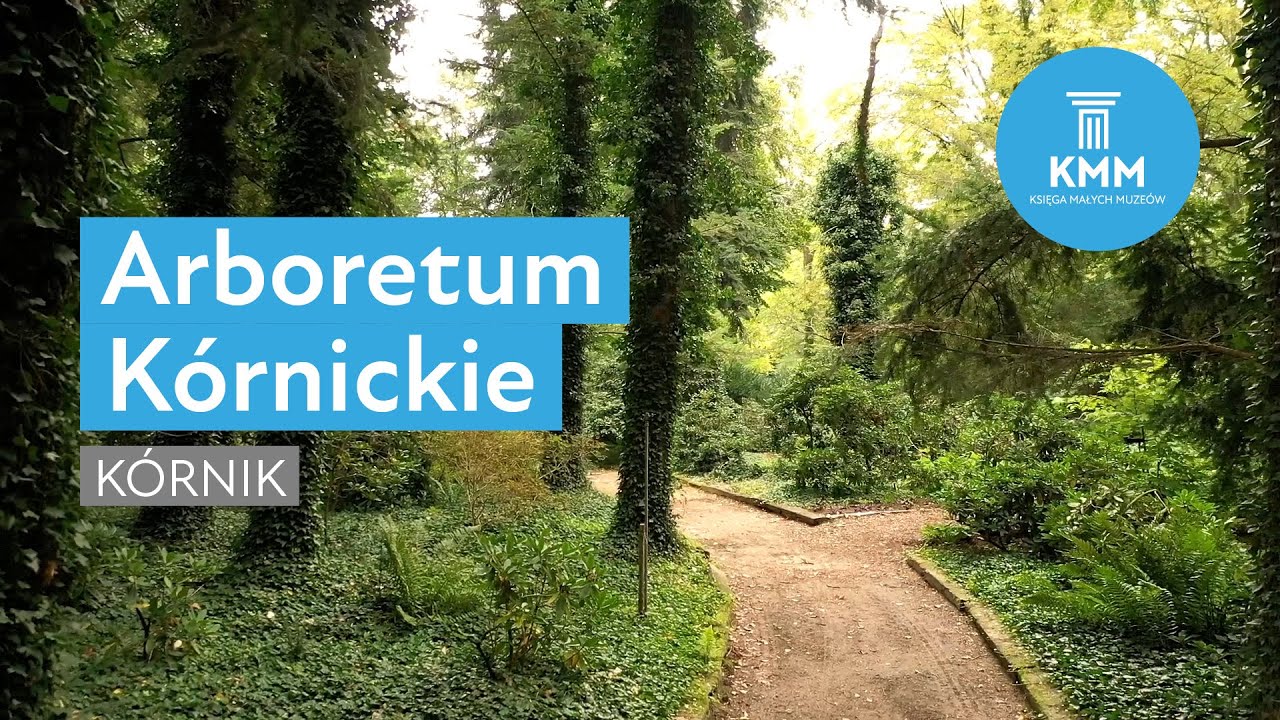 Arboretum K&oacute;rnickie, K&oacute;rnik