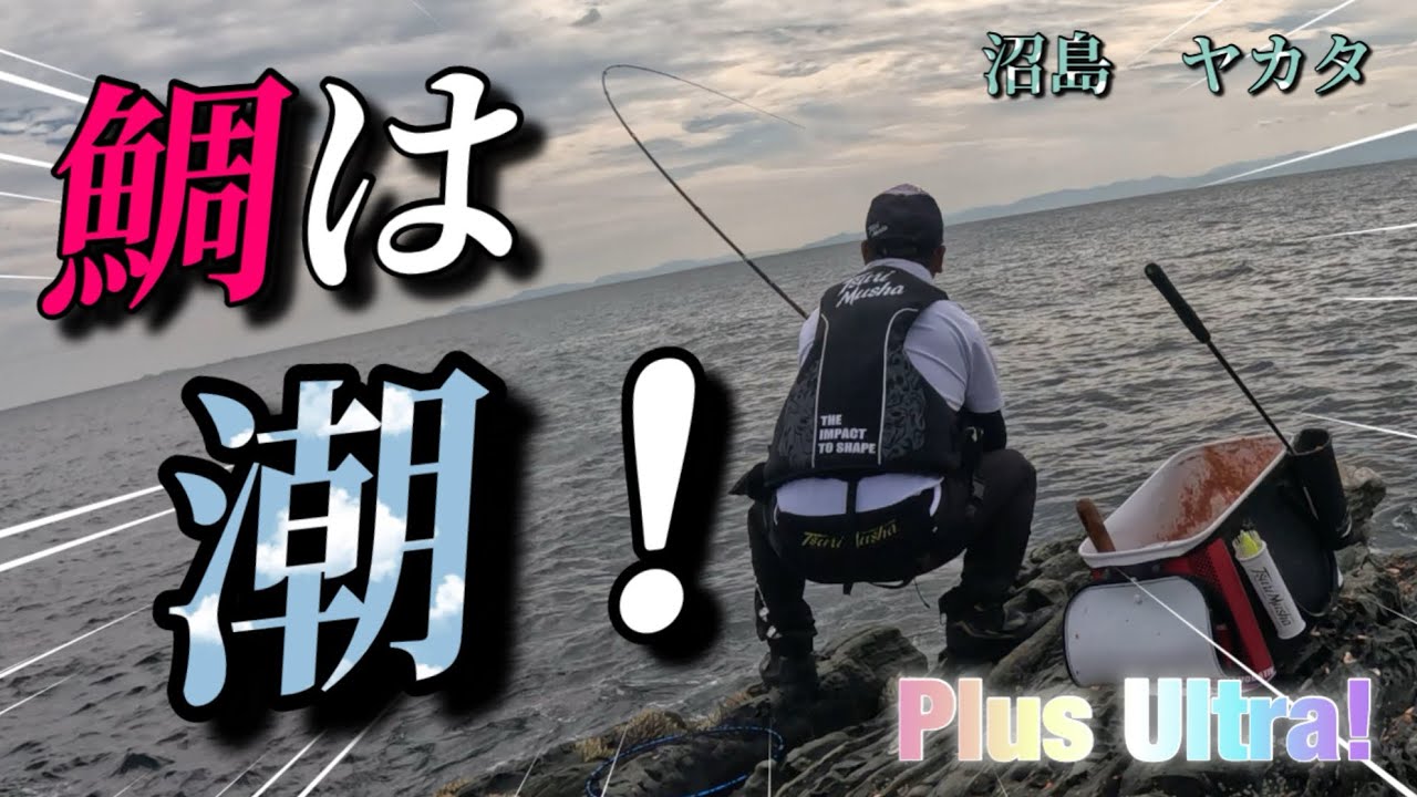 【磯釣り】9月下旬沼島の磯で真鯛を獲る！一瞬の潮を掴め！ #フカセ釣り #真鯛 #磯釣り 