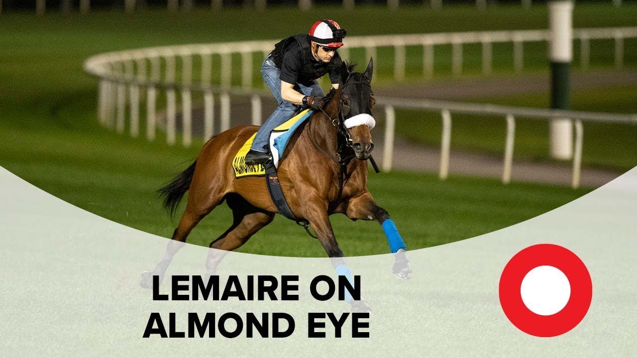 Dubai World Cup 2019: Christophe Lemaire excited by Almond Eye challenges