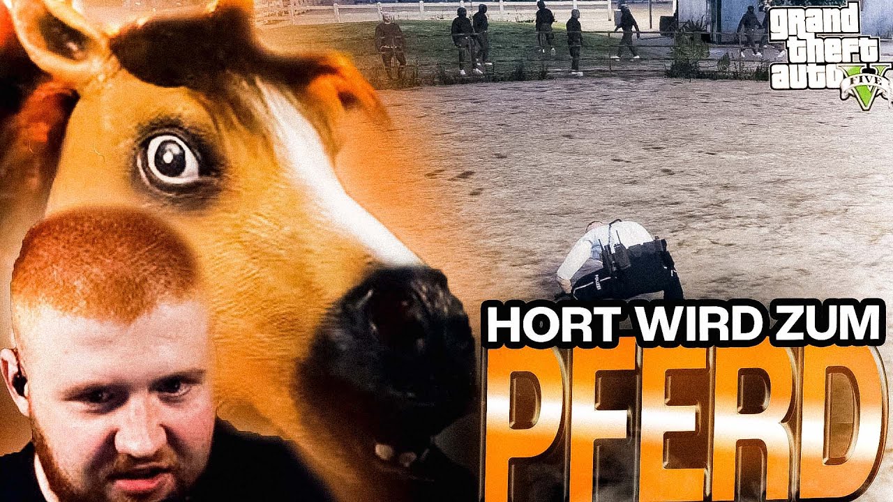 ZEIT FÜR EINEN PLAN! 🐴 ~ Michael Hort | Tag #142