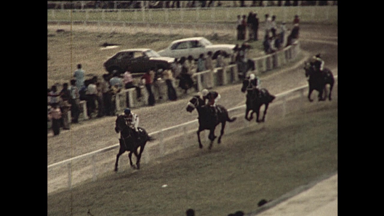 1980 Maiden Cup Won by Holdall ridden by Johnny Wilson