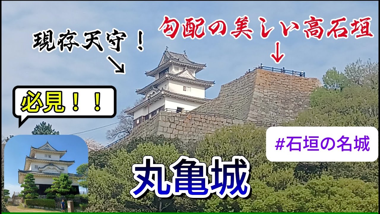 【丸亀城】小さな天守が現存する美しい石垣の名城