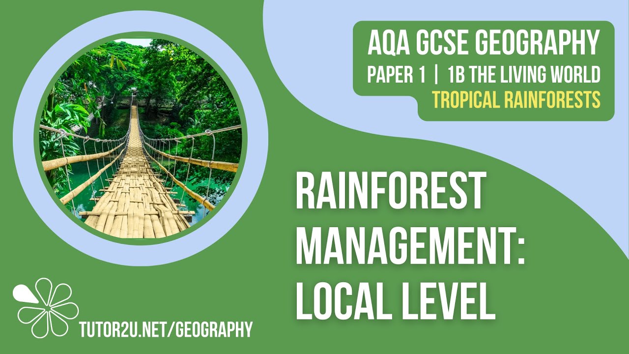 Rainforest Management: Local Level | AQA GCSE Geography | Tropical Rainforests 10