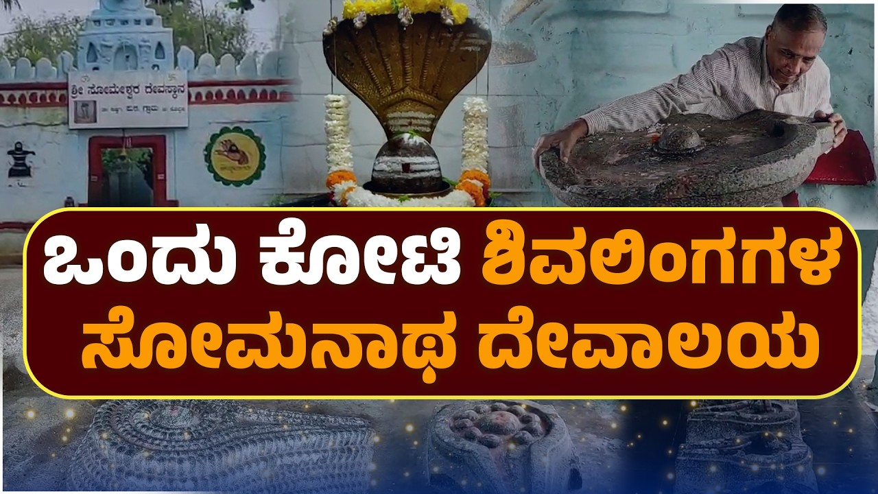 ವಿಜಯನಗರ ಕಾಲದ ಐತಿಹಾಸಿಕ ಸೋಮನಾಥ ದೇಗುಲ | One Crore Shivling Temple Karnataka | Udayavani
