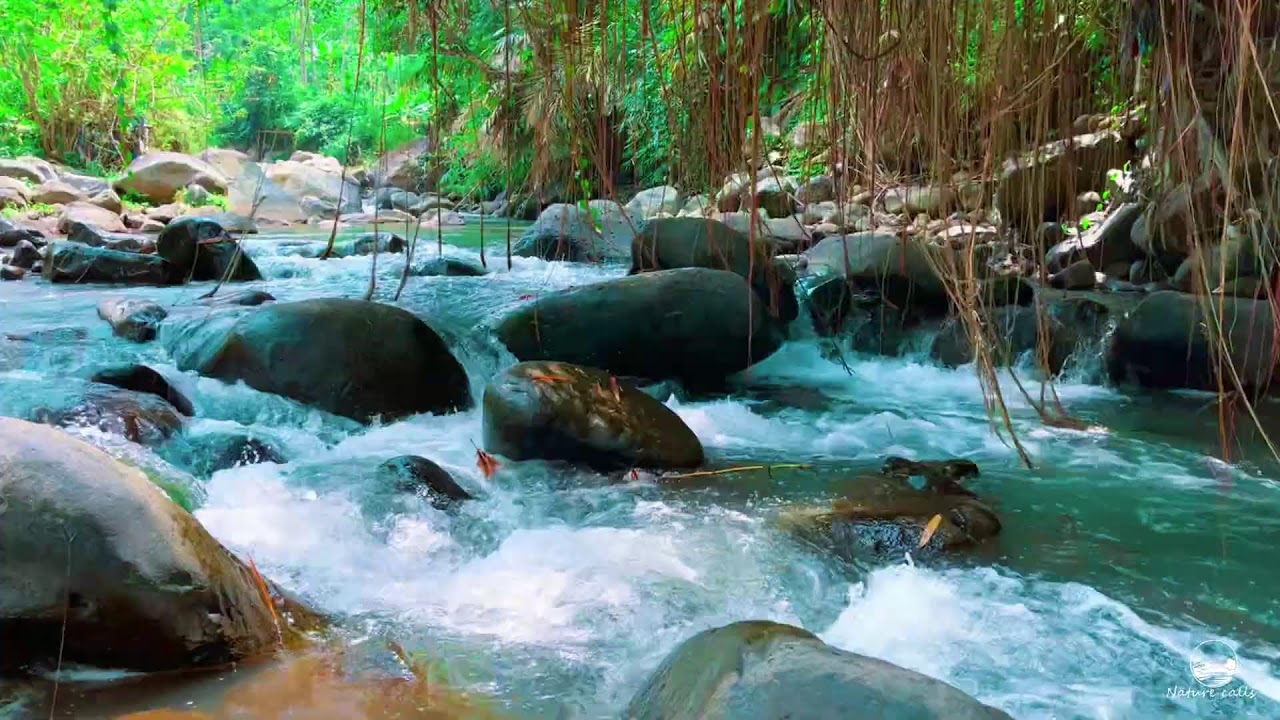 Beautiful River Ambience 24/7 | Relaxing Nature Sounds for Work & Background Calm