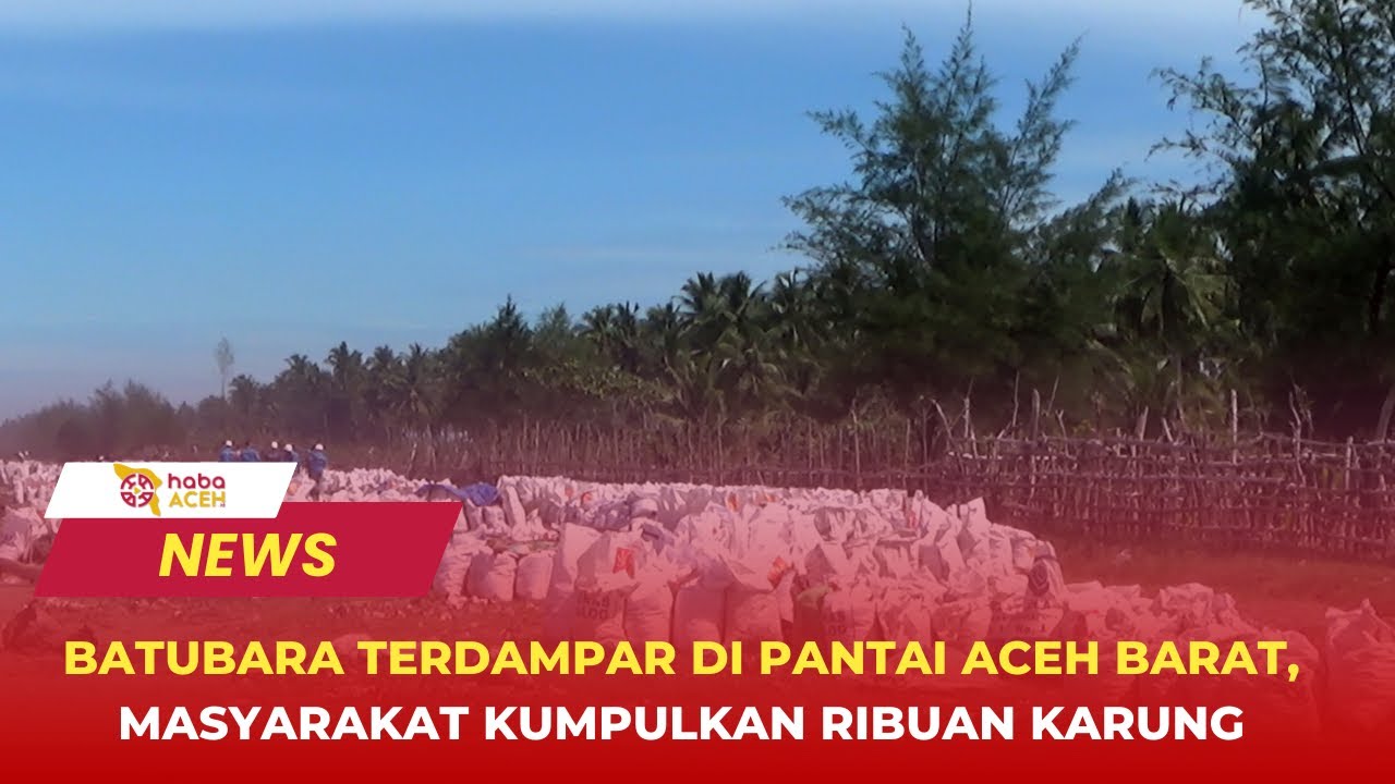 Batubara Terdampar di Pantai Aceh Barat, Masyarakat Kumpulkan Ribuan Karung
