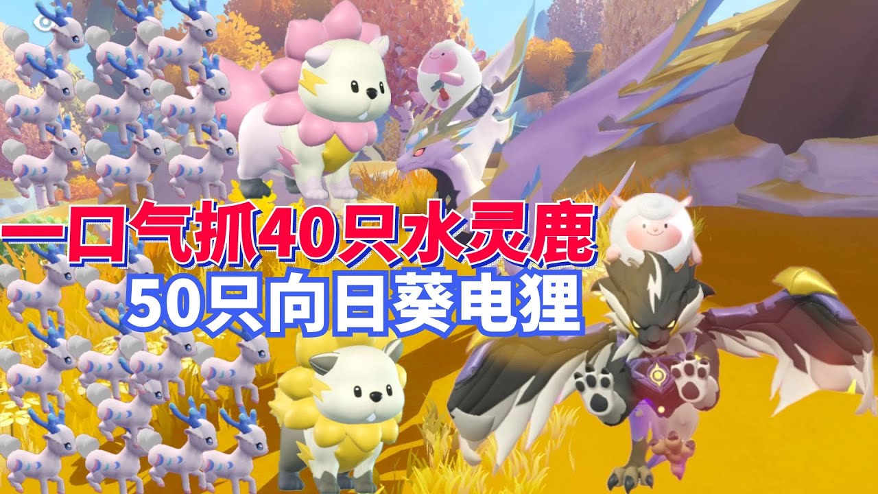 一口气抓50只向日葵电狸和40只水灵鹿！ #蛋仔派对 #艾比 #向日葵电狸 #水灵鹿 #游戏日常 【蛋仔罗修大美丽】