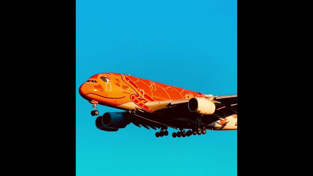 Meet the World’s Cutest Superjumbo – ANA Flying Honu A380