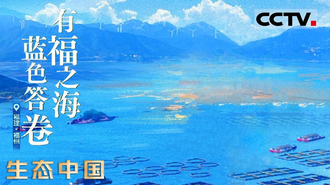 《生态中国》02 有福之海 蓝色答卷：幸福蓝的秘密藏在每一片浪花里 这里的每片浪花都在讲着福建与海的故事【CCTV纪录】