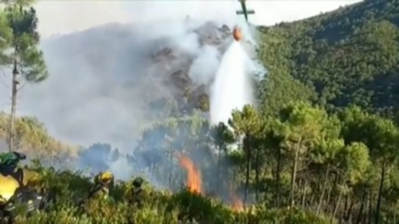 Estabilizado el incendio forestal de Pujerra (Málaga)
