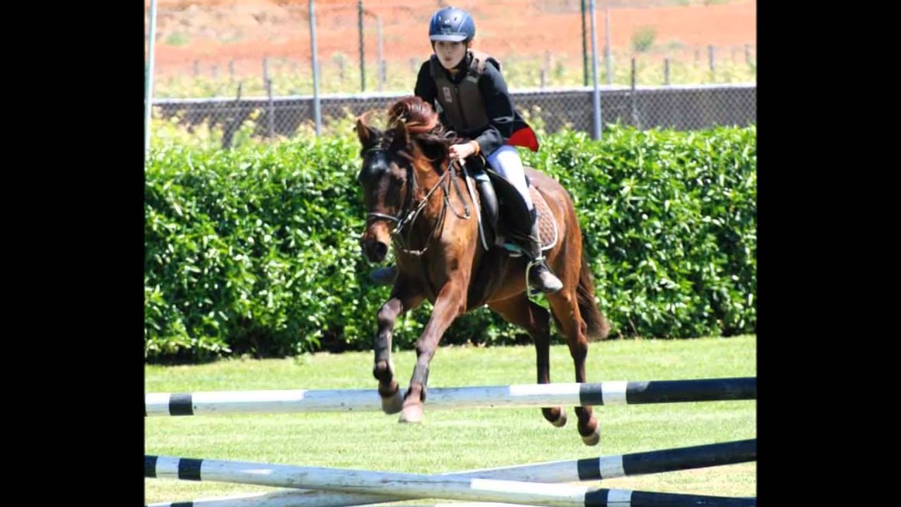 Country Riding Centre 2014 !