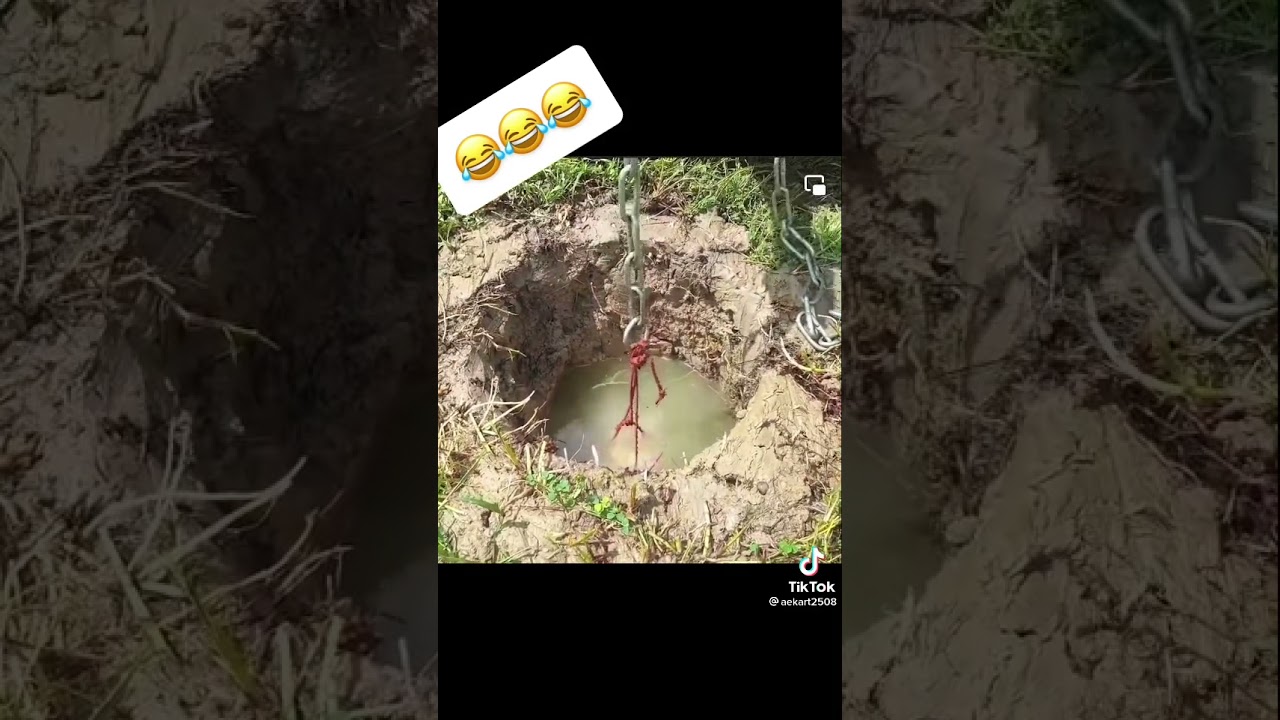 Video divertente
