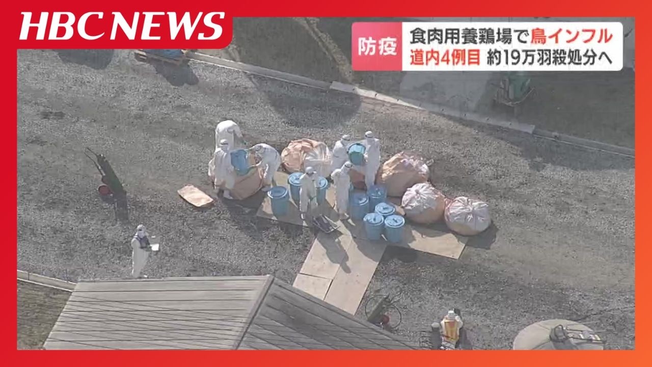 「ニワトリ42羽死んでいる」養鶏場で高病原性鳥インフルエンザ　約19万羽の殺処分始まる　北海道安平町