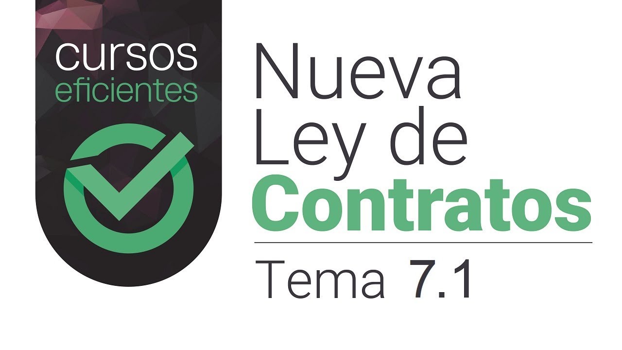 Pago del precio de los contratos del Sector P&uacute;blico Curso online Ley 9/2017 de contratos