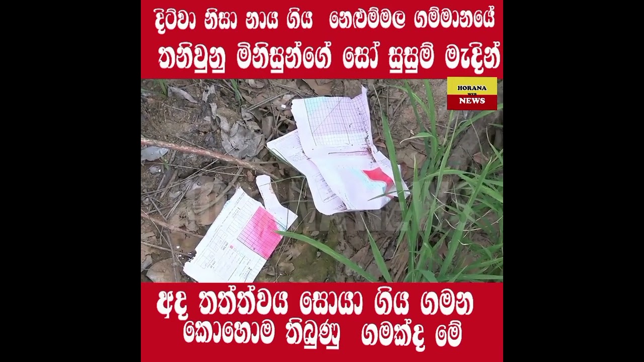 නාය ගිය නෙළුම්මල ගම්මානයේ අද තත්ත්වය
