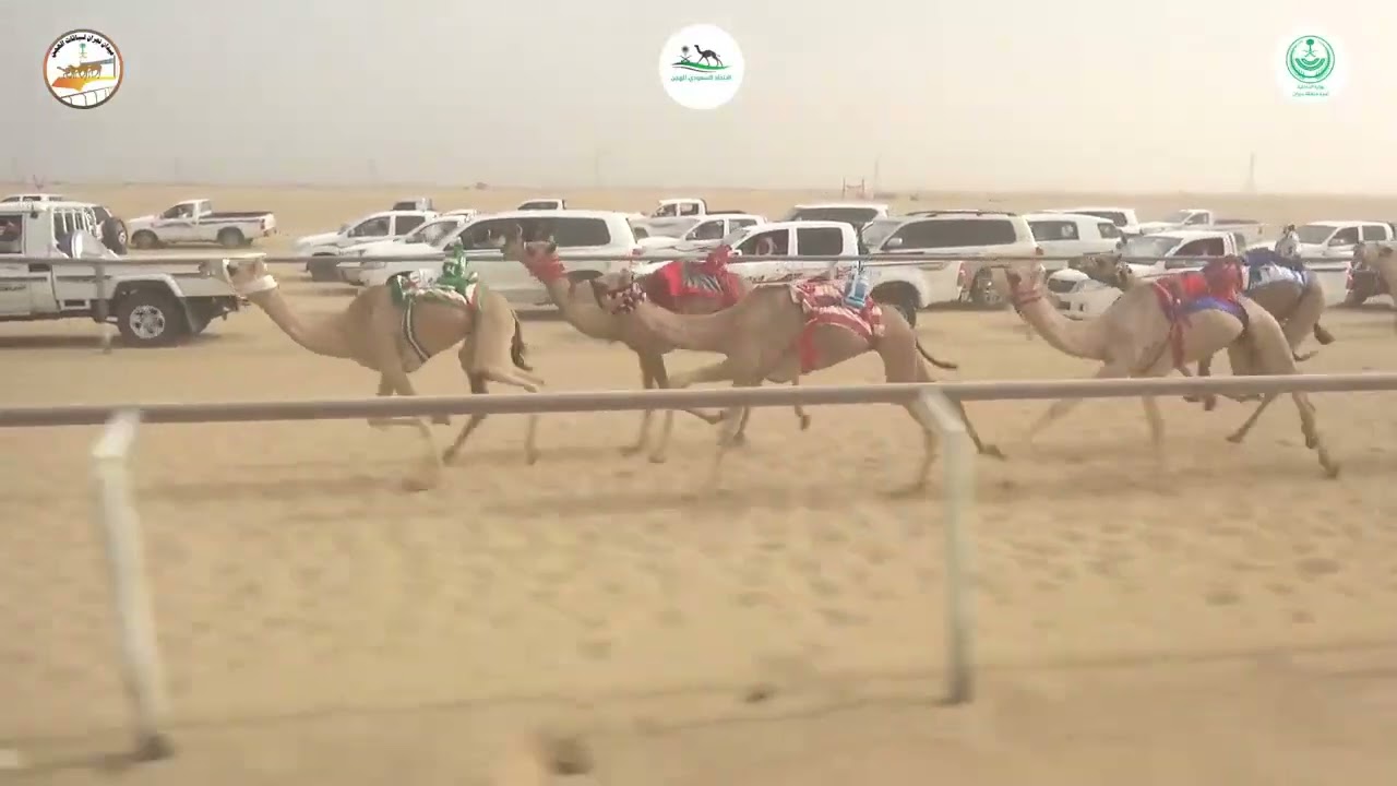 ٢٩ / بكار صعوب / ١٥٠٠ م / فن / حسين فرحان الوايلي