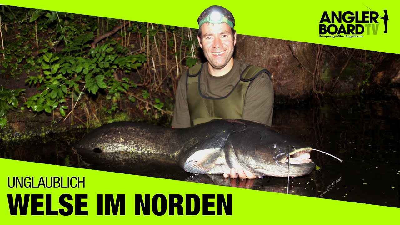 Welsangeln in Norddeutschland | Wallerfischen am Fluss Teil 1 | Anglerboard TV