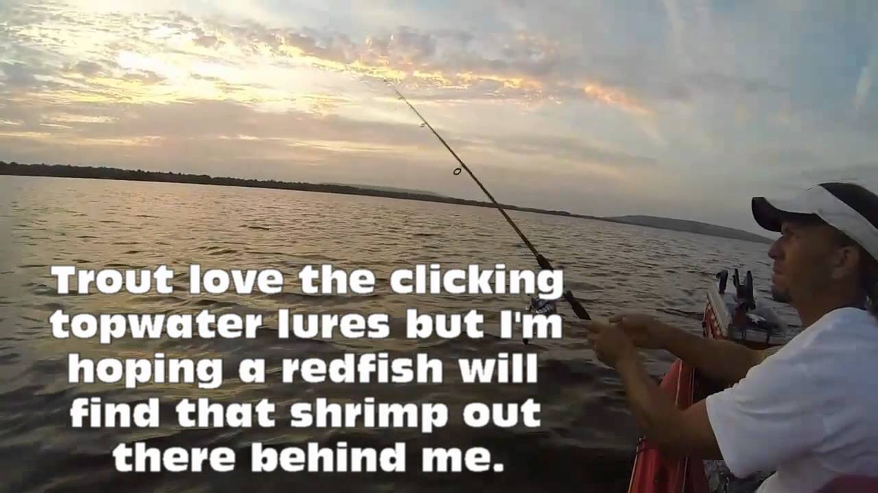Fishing with Shrimp