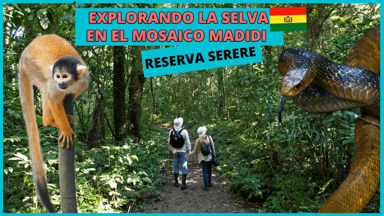 7 Días en la SELVA en el MOSAICO MADIDI el área con mayor BIODIVERSIDAD del 🌍 | RURRENABAQUE BOLIVIA