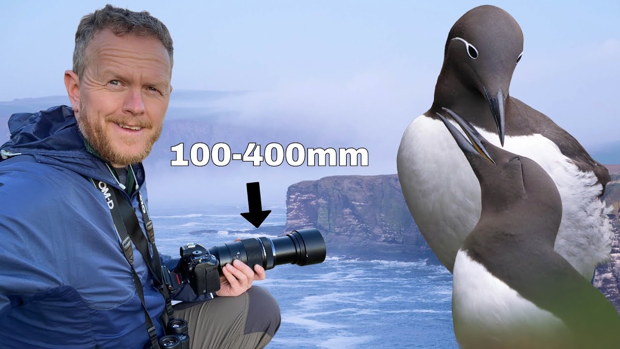 M.Zuiko 100-400mm f/5-6.3 Mark II - Seabird Photography