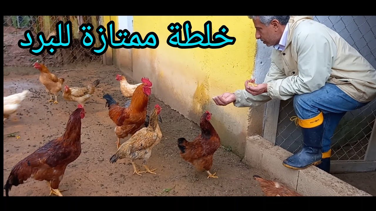 الشتاء على الأبواب 🥶 غلة المطبخ عملنا منها خلطة ممتازة