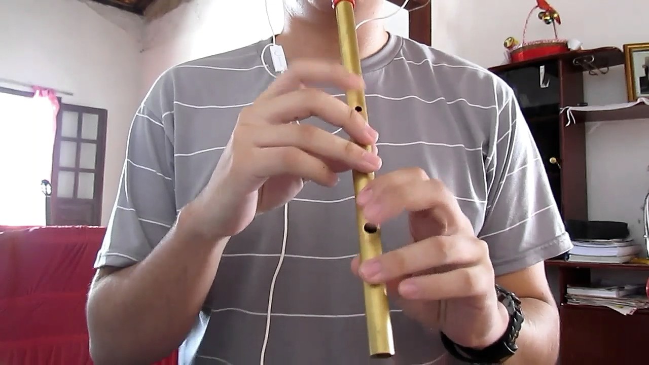 The Immigrant by Joanie Madden | Tin Whistle (Cover) Bb