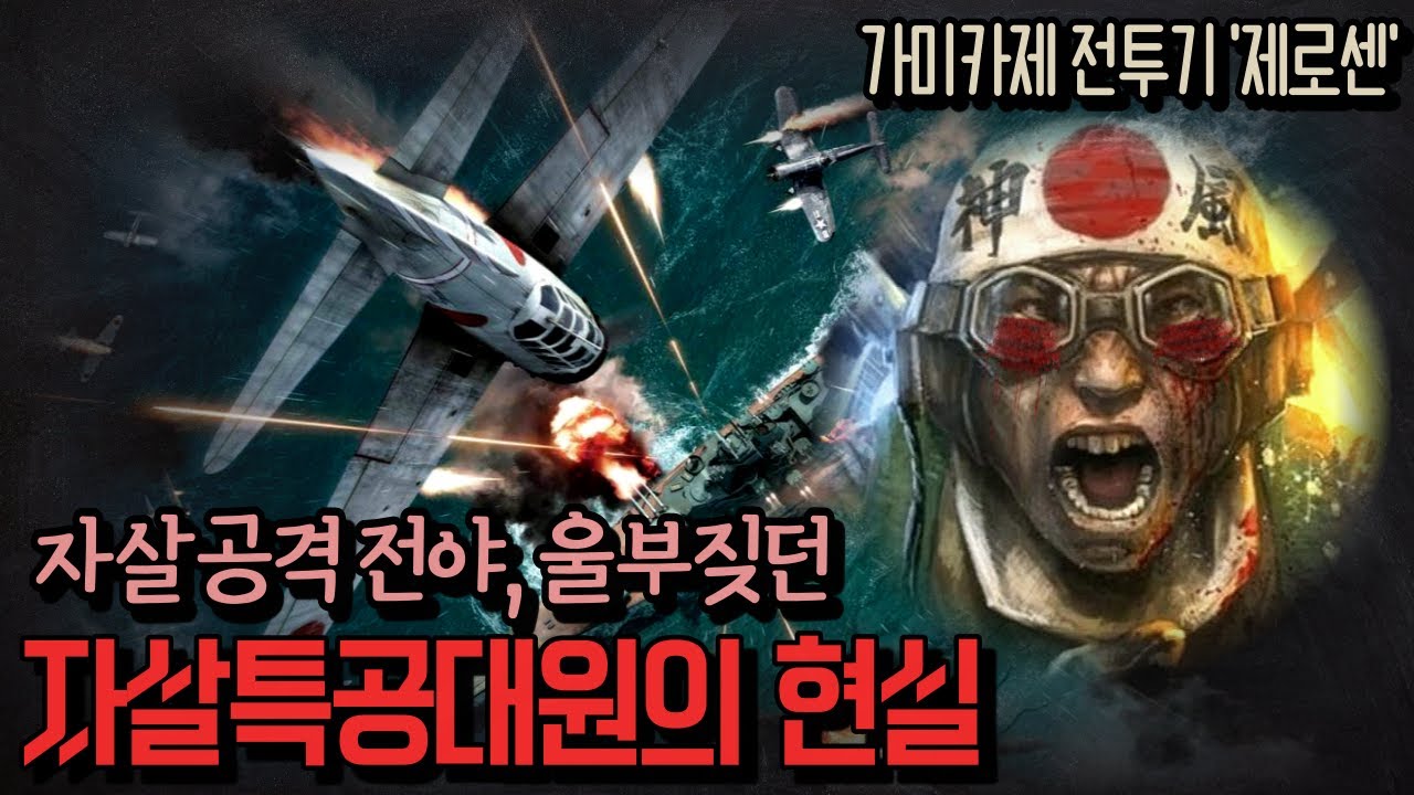 카미카제 자살특공대를 태운 전투기! '제로센'을 둘러싼 '태평양전쟁 뒷이야기'