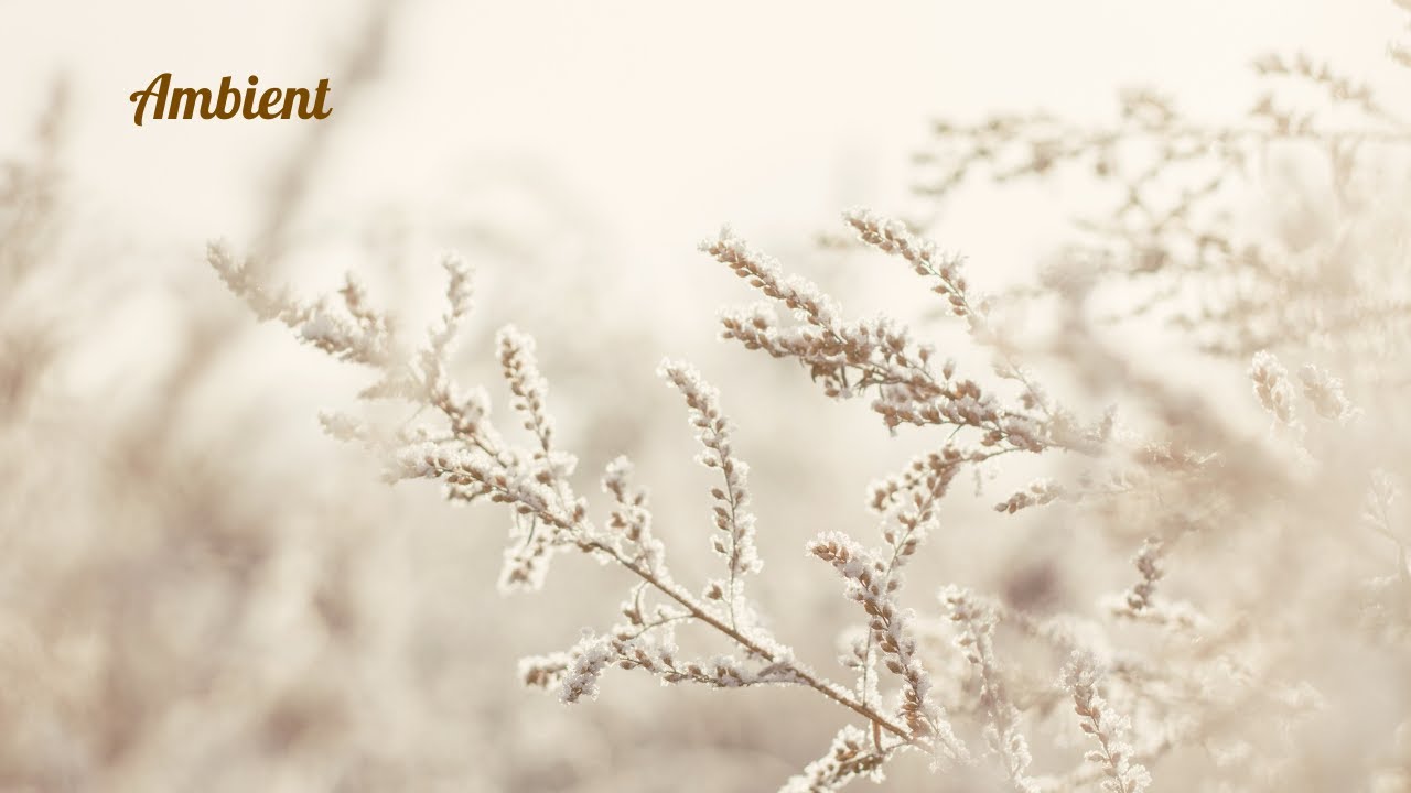 Quiet Ambient Background | For Stillness and Focus