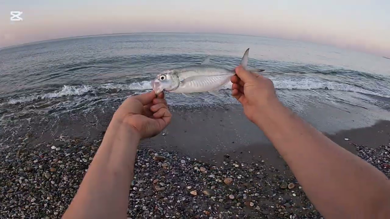 Uzun aradan sonra lrf ile başladık... Dikkat aşırı aksiyon ve delilik içerir... #alanya #fishing