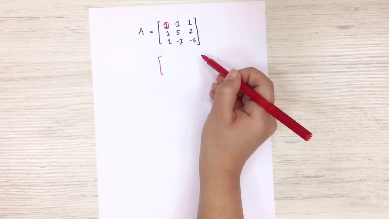 Linear | RREF & REF