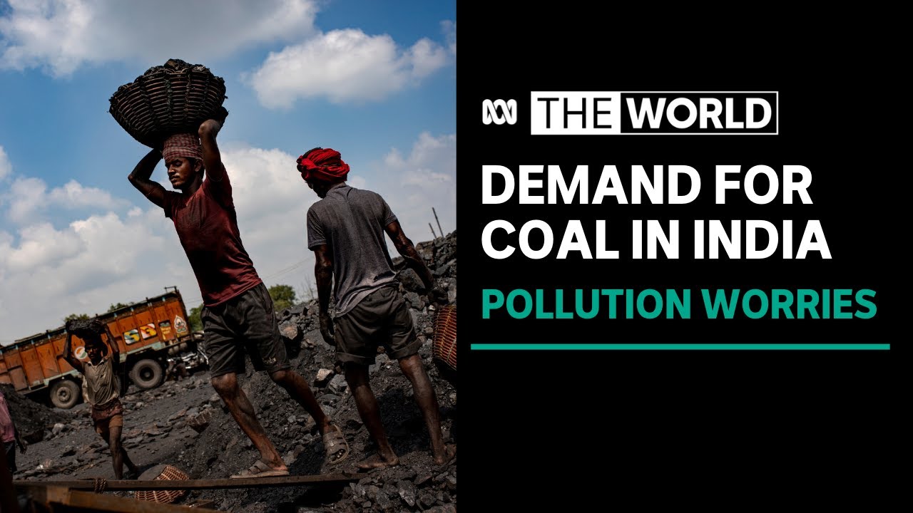 Is India's coal demand likely to grow despite pollution concerns? | The World